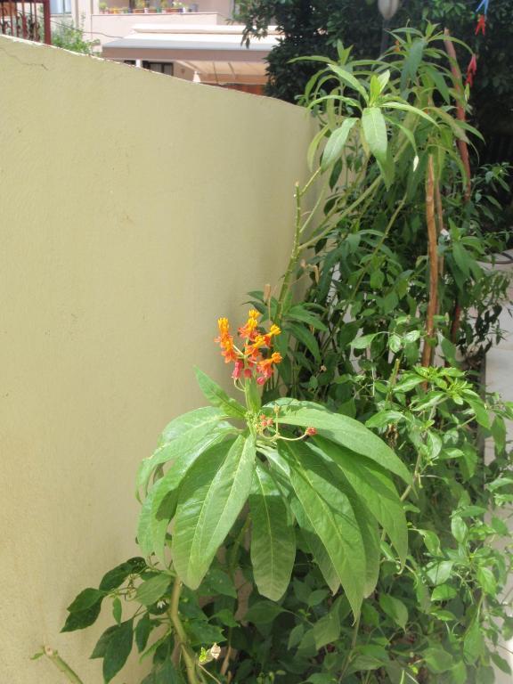 Aloe Apart Hotel Marmaris Bagian luar foto