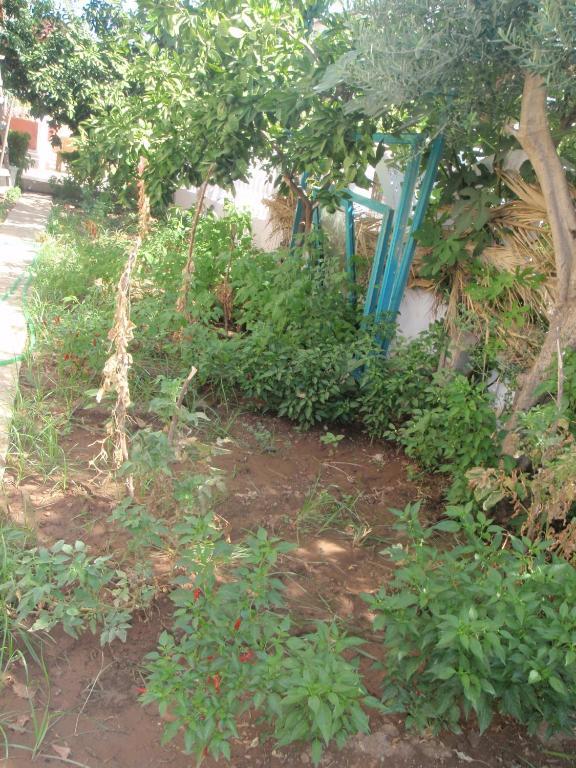 Aloe Apart Hotel Marmaris Bagian luar foto